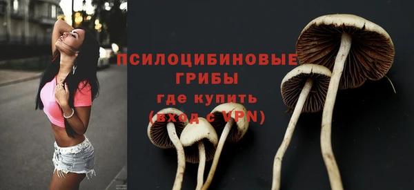 экстази Алексин