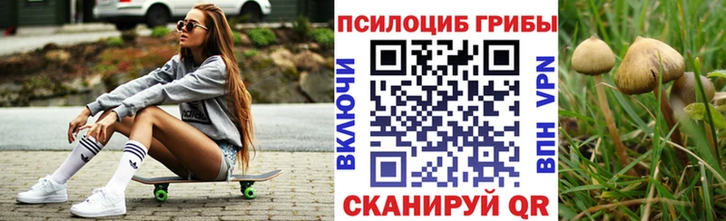 Галлюциногенные грибы Psilocybine cubensis  Маркс 